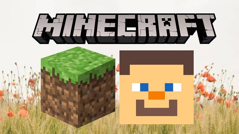 Minecraft ikona twarzy postaci 