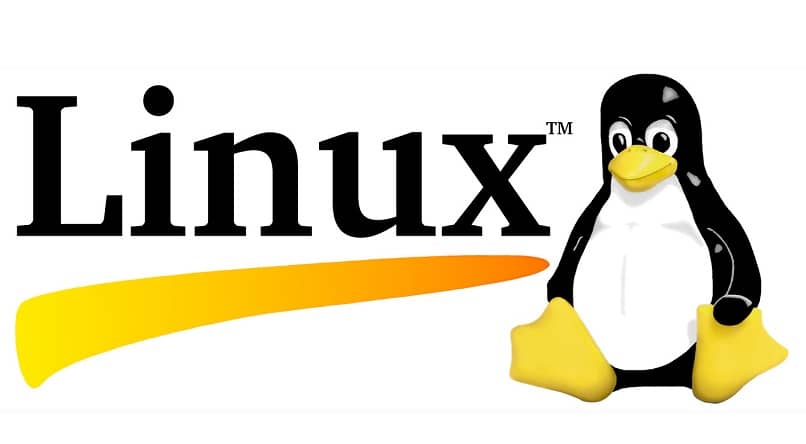 użyj poleceń terminala linux
