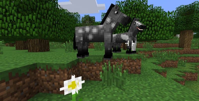 Jak Zdobyć Nasiona Marchewki W Minecraft Jak zdobyć marchewki lub nasiona marchwi z Minecrafta (przykład) - 2024