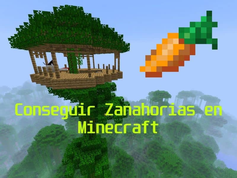 Jak Zdobyć Nasiona Marchewki W Minecraft