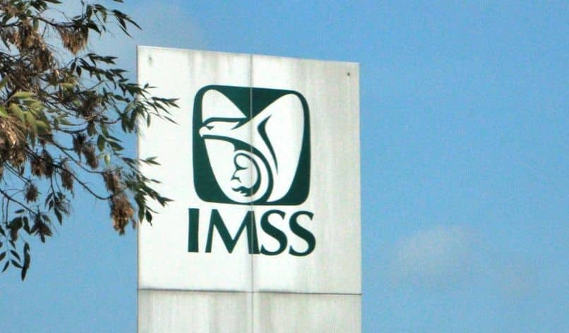 zażądaj karty imss