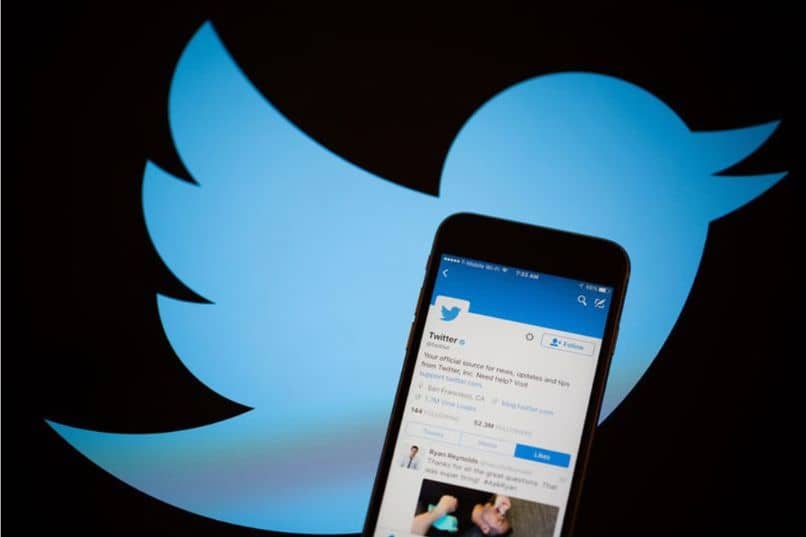 aplikacja mobilna twitter czarne tło ptak