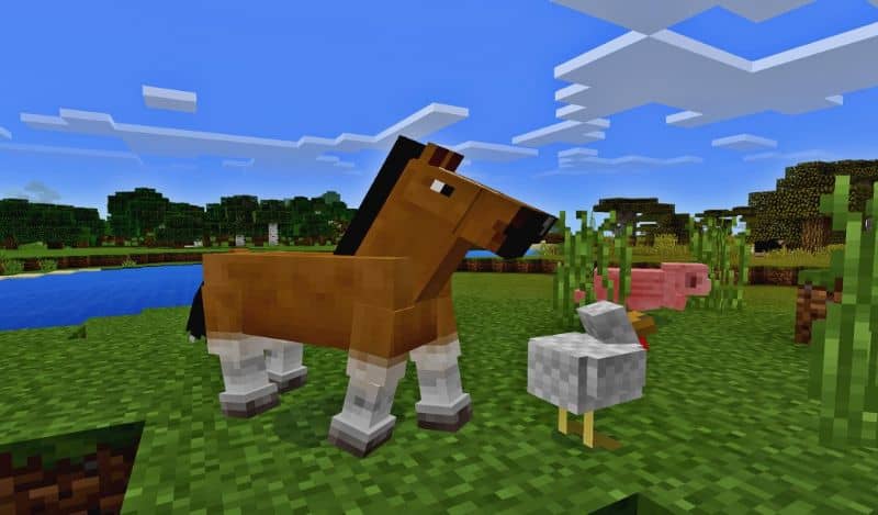 Minecraft Pig Chicken Horse