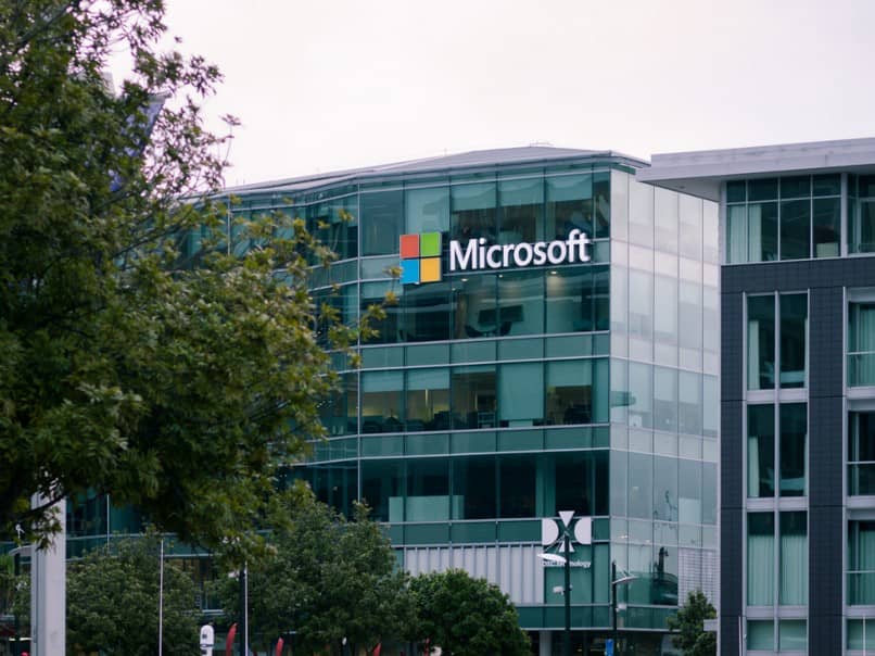 Firma Microsoft