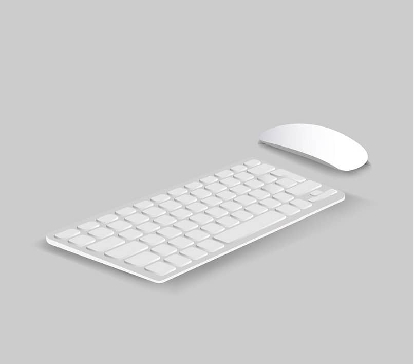 biało-szara mysz z klawiaturą