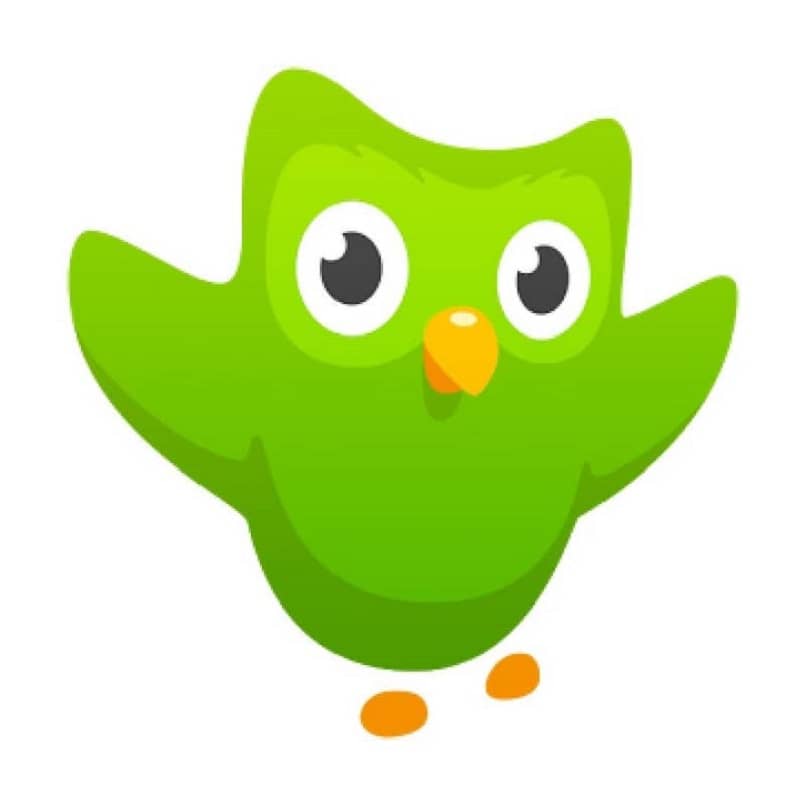 Sowa Duolingo