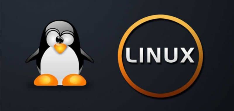 Linux, pingwin