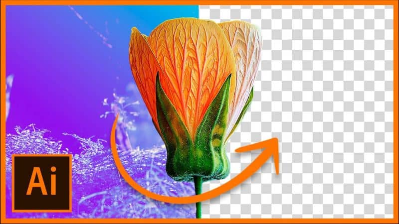 Usuń tło z obrazu w programie Adobe Illustrator CC.