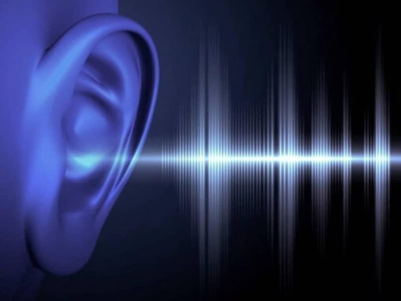fale dźwiękowe docierające do ucha
