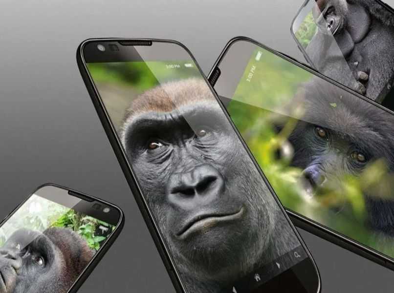 mobilny wygaszacz ekranu android goryl szare tło