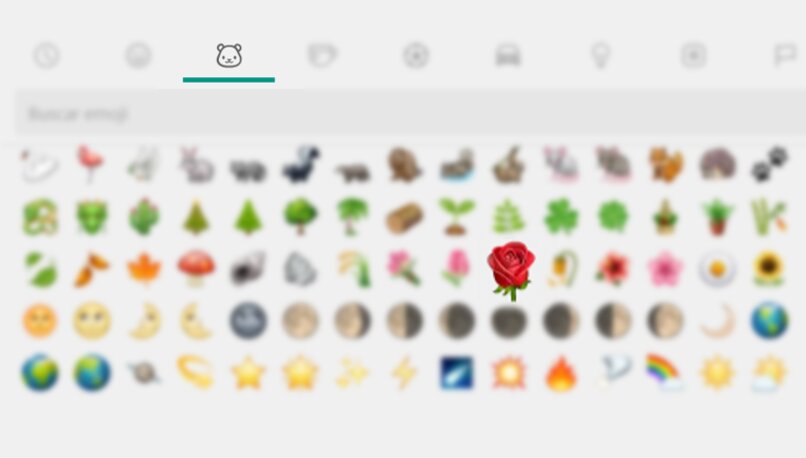 Emoji czerwonej róży WhatsApp