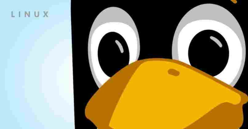 linux pingwin twarz