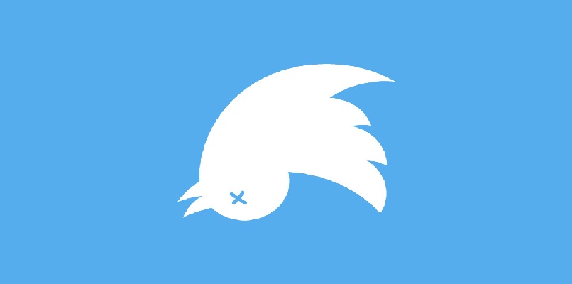 martwy ptak z Twittera